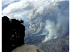 Forest_Fire
